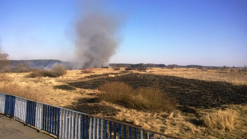 mt_gallery: Pożar traw: miejscowość Oleśniki, powiat świdnicki.
