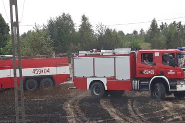 Pojazdy strażackie na miejscu pożaru w Starym Uścimowie