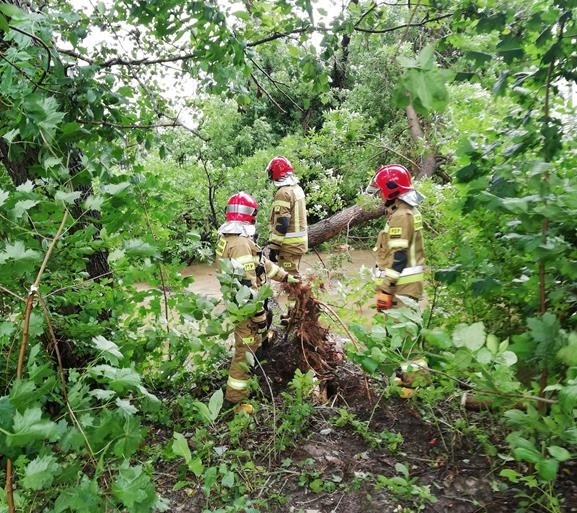 Strażacy usuwający skutki ulewy