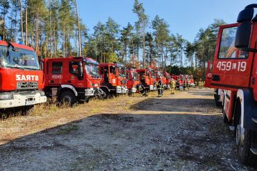 Kilkanaście samochodów ratowniczo-gaśniczych straży pożarnej na tle lasu