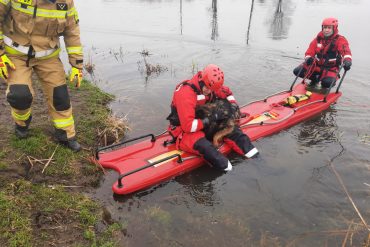 Ewakuowanie psa na ląd przy pomocy sani lodowych