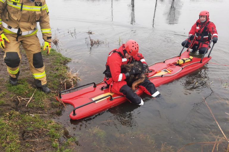 Ewakuowanie psa na ląd przy pomocy sani lodowych