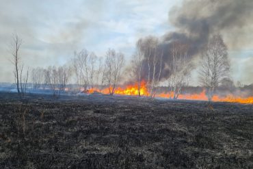 Pożar nieużytków w miejscowości Kozaki