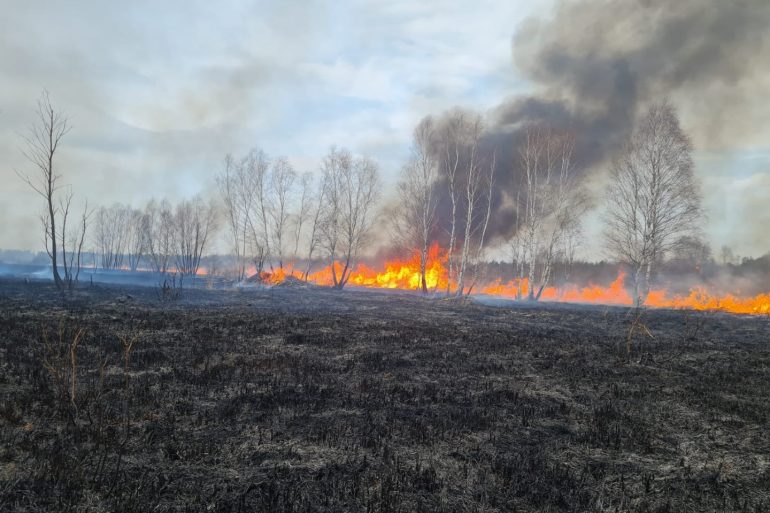 Pożar nieużytków w miejscowości Kozaki