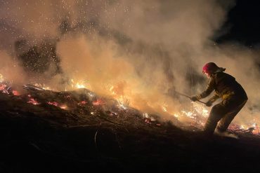 Strażak gaszący pożar trawy z wykorzystaniem tłumicy.