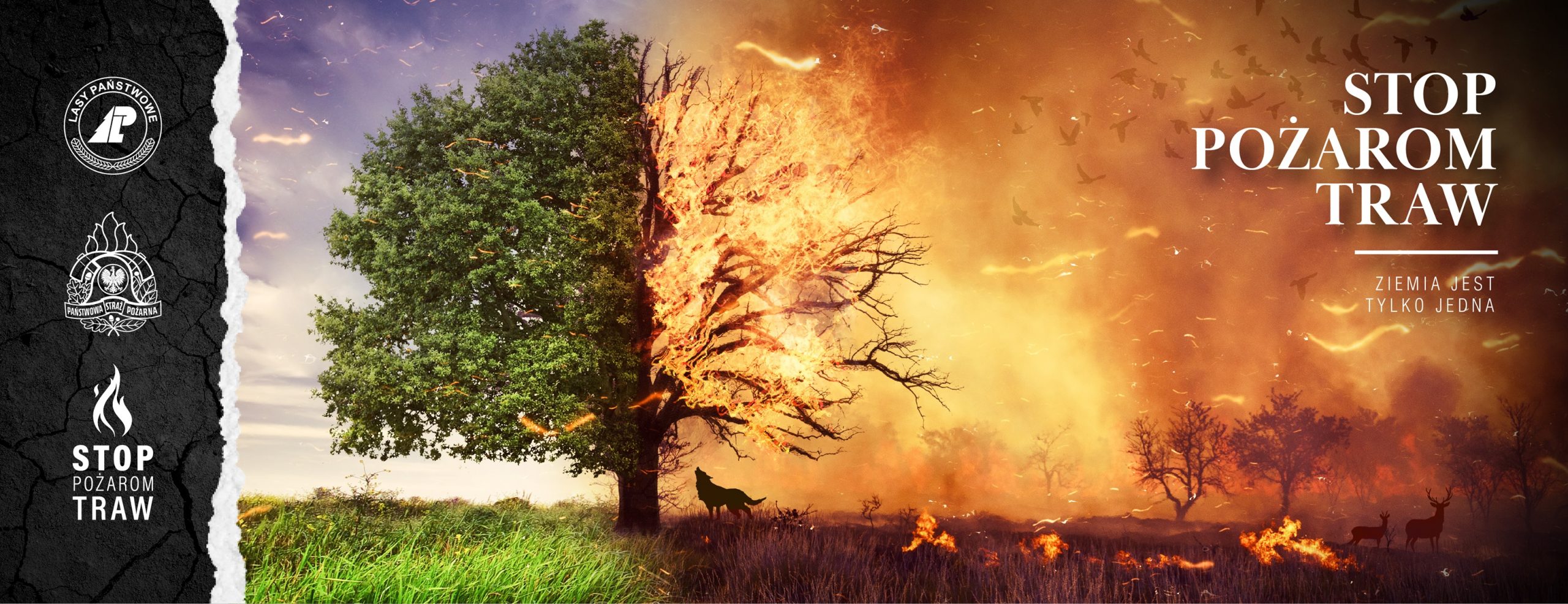 Baner "Stop pożarom traw"