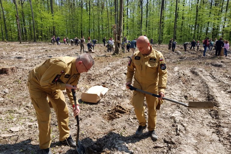 Akcja sadzenia lasu "Łączą nas drzewa"
